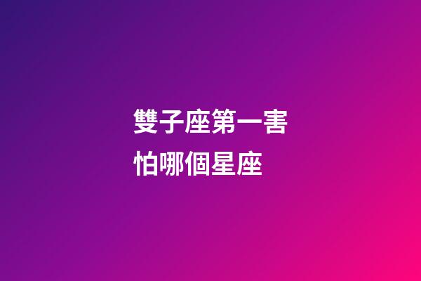 雙子座第一害怕哪個星座-第1張-星座運勢-玄機派