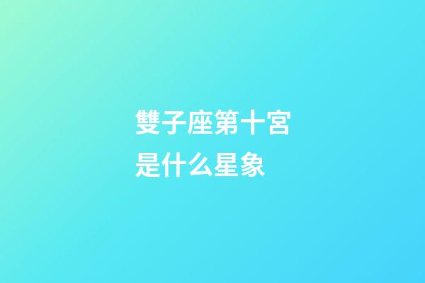 雙子座第十宮是什么星象-第1張-星座運(yùn)勢(shì)-玄機(jī)派