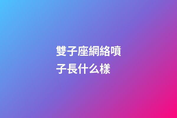 雙子座網絡噴子長什么樣