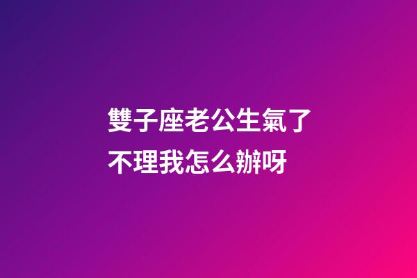 雙子座老公生氣了不理我怎么辦呀-第1張-星座運勢-玄機派