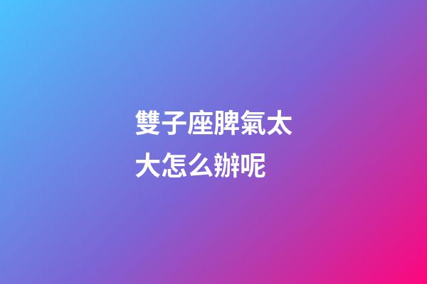 雙子座脾氣太大怎么辦呢-第1張-星座運勢-玄機派
