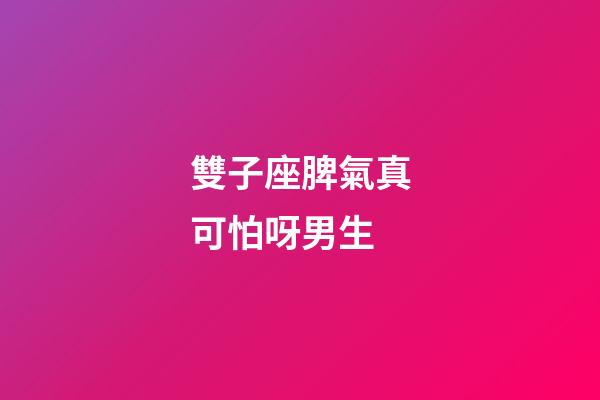 雙子座脾氣真可怕呀男生-第1張-星座運勢-玄機派