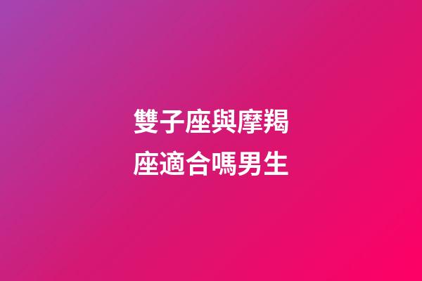 雙子座與摩羯座適合嗎男生-第1張-星座運勢-玄機派