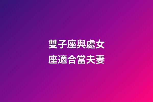 雙子座與處女座適合當夫妻-第1張-星座運勢-玄機派
