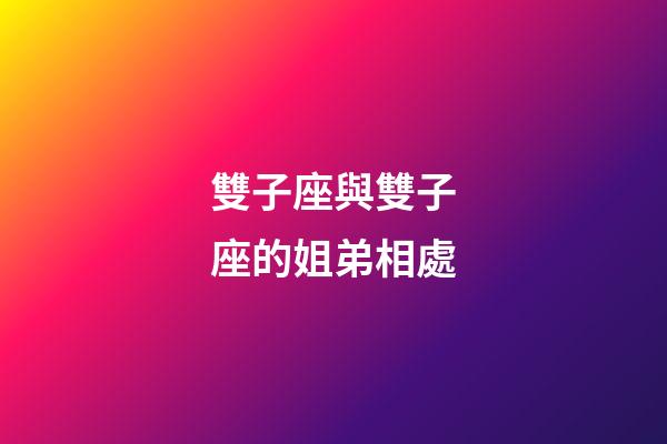 雙子座與雙子座的姐弟相處-第1張-星座運勢-玄機派