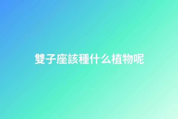 雙子座該種什么植物呢-第1張-星座運勢-玄機派