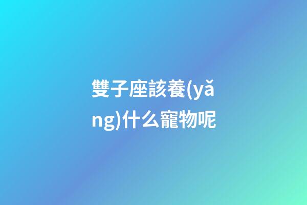 雙子座該養(yǎng)什么寵物呢