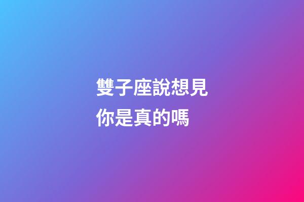 雙子座說想見你是真的嗎-第1張-星座運勢-玄機派
