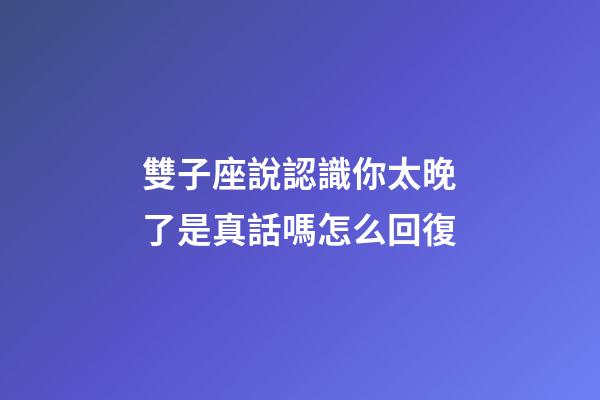 雙子座說認識你太晚了是真話嗎怎么回復-第1張-星座運勢-玄機派