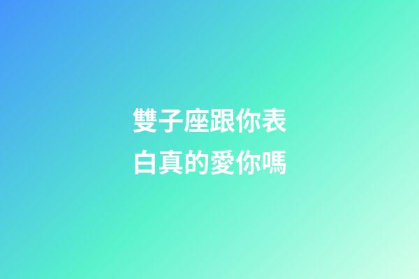 雙子座跟你表白真的愛你嗎-第1張-星座運勢-玄機派