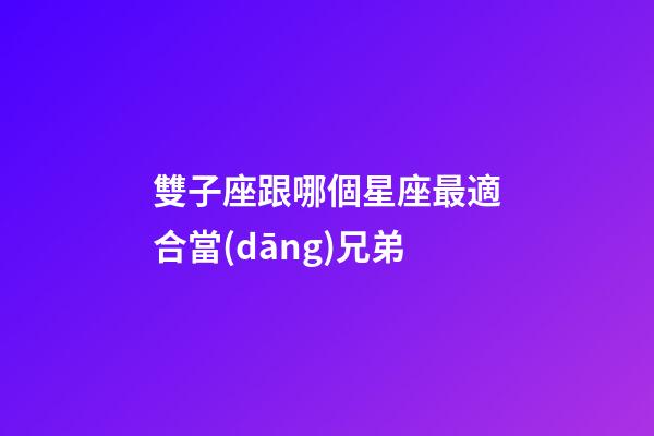雙子座跟哪個星座最適合當(dāng)兄弟-第1張-星座運勢-玄機派