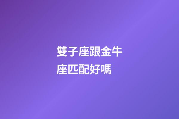 雙子座跟金牛座匹配好嗎-第1張-星座運勢-玄機派