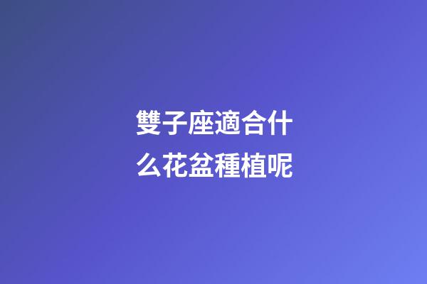 雙子座適合什么花盆種植呢