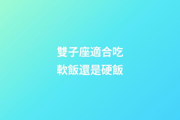雙子座適合吃軟飯還是硬飯