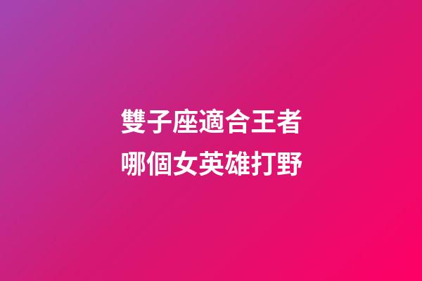 雙子座適合王者哪個女英雄打野-第1張-星座運勢-玄機派