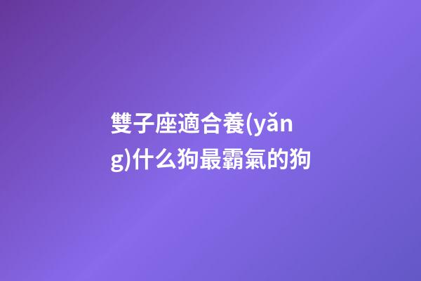 雙子座適合養(yǎng)什么狗最霸氣的狗-第1張-星座運(yùn)勢(shì)-玄機(jī)派