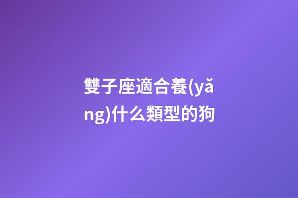 雙子座適合養(yǎng)什么類型的狗-第1張-星座運(yùn)勢-玄機(jī)派