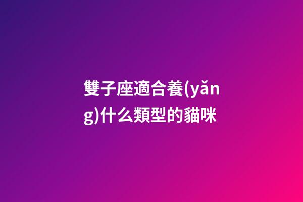 雙子座適合養(yǎng)什么類型的貓咪-第1張-星座運勢-玄機派