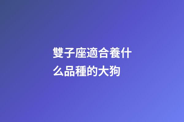 雙子座適合養什么品種的大狗-第1張-星座運勢-玄機派
