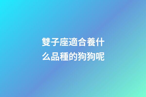 雙子座適合養什么品種的狗狗呢