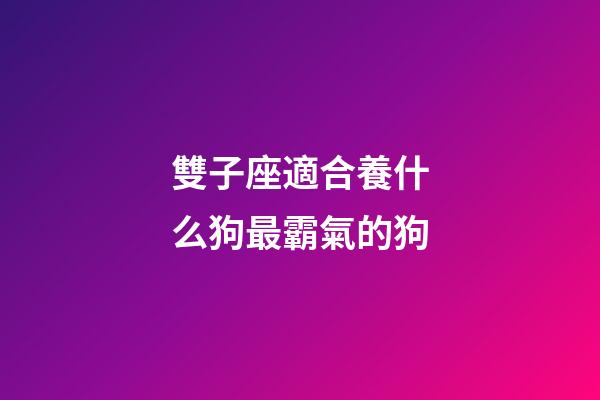 雙子座適合養什么狗最霸氣的狗-第1張-星座運勢-玄機派