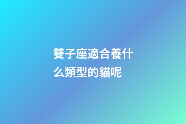 雙子座適合養什么類型的貓呢-第1張-星座運勢-玄機派
