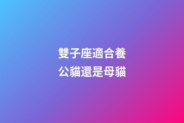 雙子座適合養公貓還是母貓