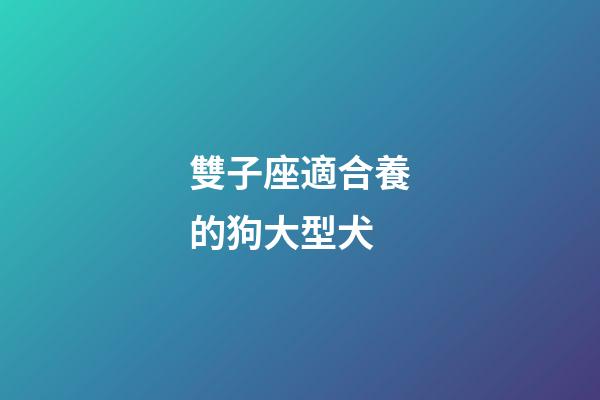 雙子座適合養的狗大型犬-第1張-星座運勢-玄機派