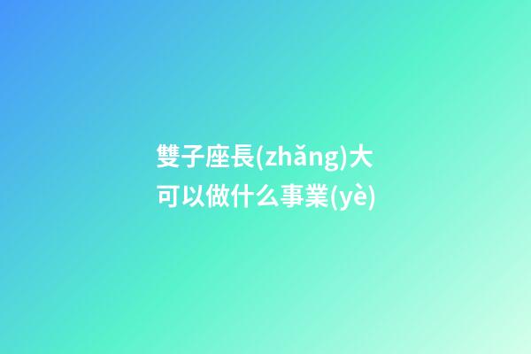雙子座長(zhǎng)大可以做什么事業(yè)