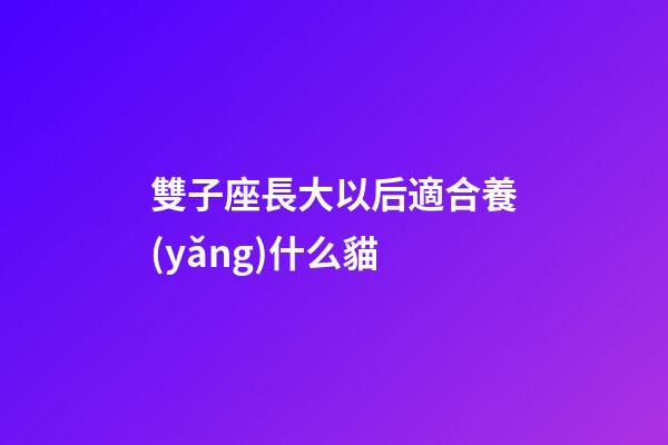 雙子座長大以后適合養(yǎng)什么貓-第1張-星座運勢-玄機派