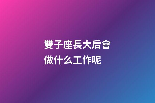 雙子座長大后會做什么工作呢