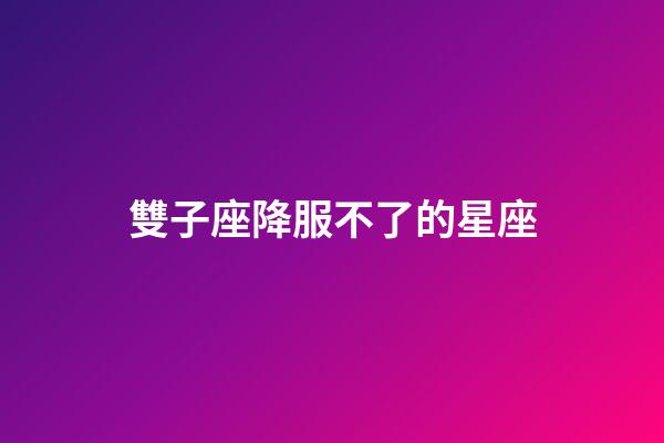 雙子座降服不了的星座-第1張-星座運勢-玄機派