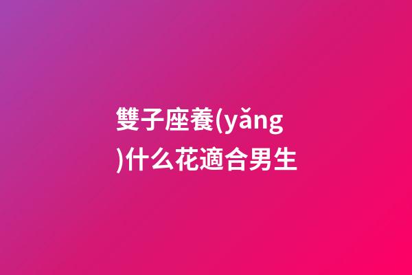 雙子座養(yǎng)什么花適合男生