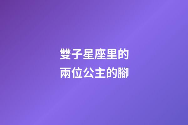 雙子星座里的兩位公主的腳