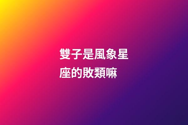 雙子是風象星座的敗類嘛-第1張-星座運勢-玄機派