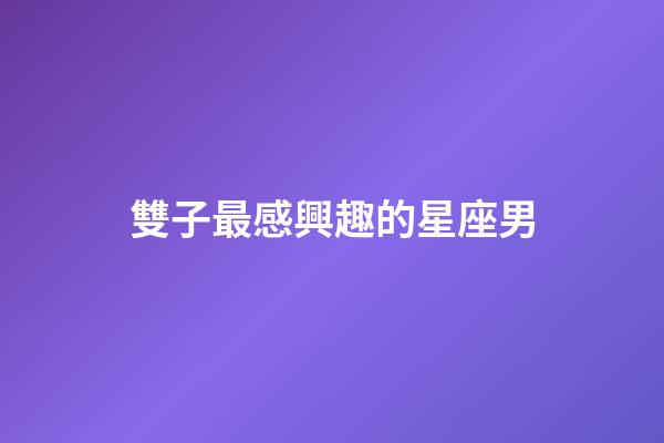 雙子最感興趣的星座男-第1張-星座運勢-玄機派