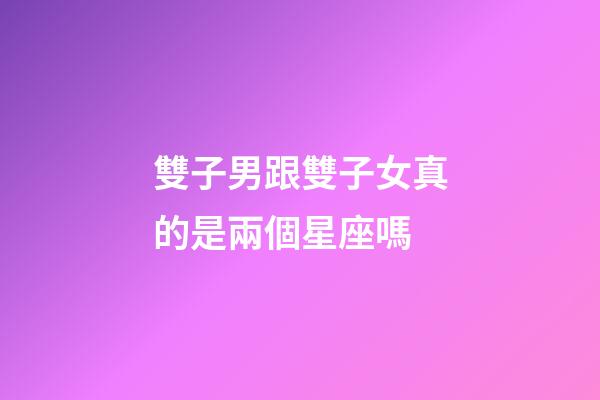雙子男跟雙子女真的是兩個星座嗎-第1張-星座運勢-玄機派
