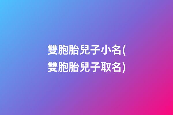 雙胞胎兒子小名(雙胞胎兒子取名)