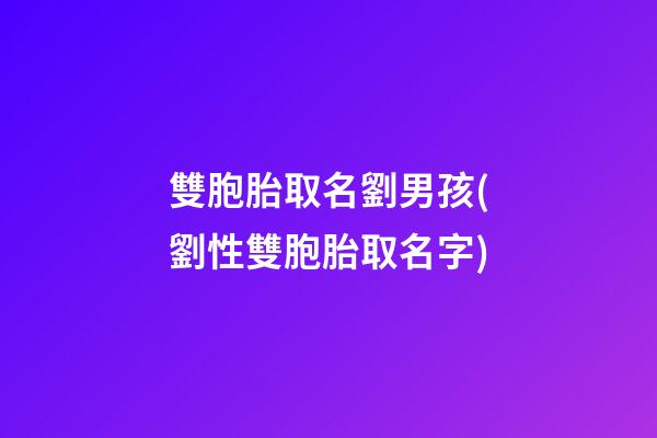 雙胞胎取名劉男孩(劉性雙胞胎取名字)