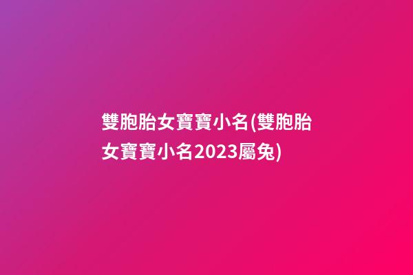 雙胞胎女寶寶小名(雙胞胎女寶寶小名2023屬兔)
