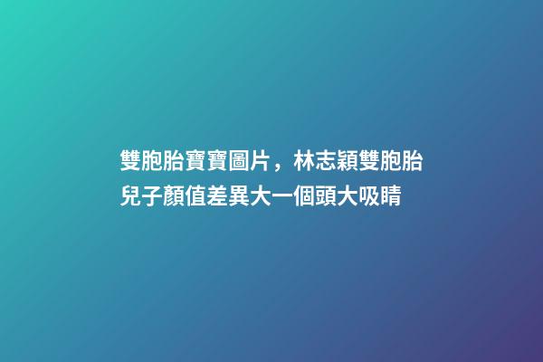 雙胞胎寶寶圖片，林志穎雙胞胎兒子顏值差異大一個頭大吸睛