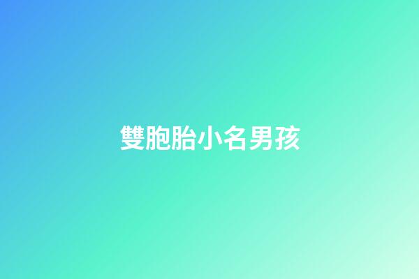雙胞胎小名男孩(雙胞胎小名男孩名字大全)-第1張-男孩起名-玄機派