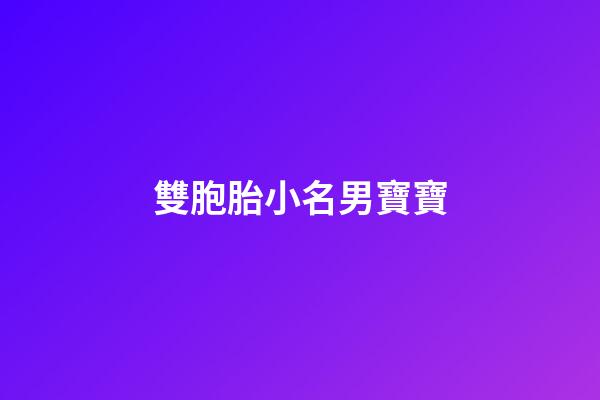 雙胞胎小名男寶寶(雙胞胎男孩小名取名字大全2023)-第1張-男孩起名-玄機派