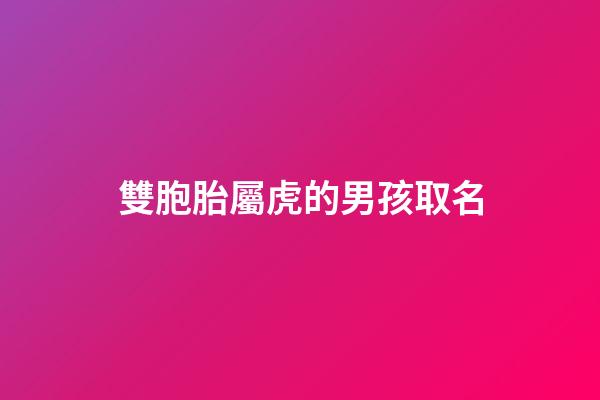 雙胞胎屬虎的男孩取名(虎年雙胞胎男孩取名字大全2023)-第1張-男孩起名-玄機派