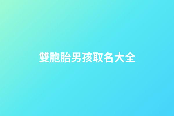 雙胞胎男孩取名大全(雙胞胎男孩取名大全免費(fèi))-第1張-男孩起名-玄機(jī)派