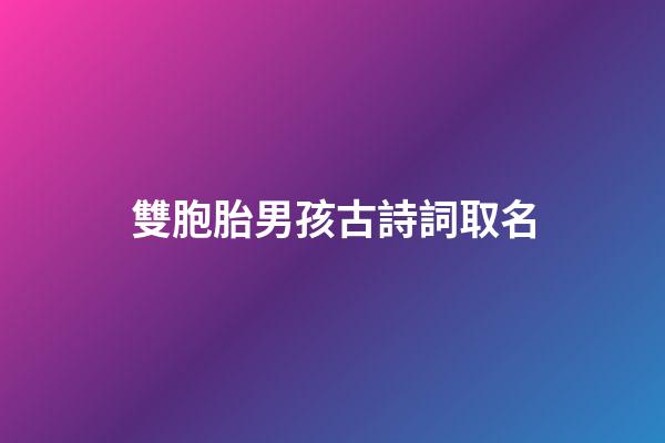 雙胞胎男孩古詩詞取名(雙胞胎男孩古詩詞取名字)-第1張-男孩起名-玄機派