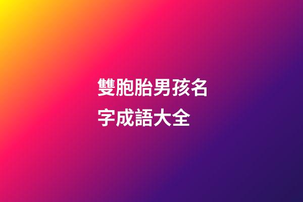 雙胞胎男孩名字成語大全(雙胞胎男寶寶取名成語)-第1張-男孩起名-玄機派
