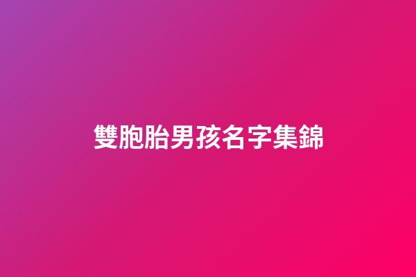 雙胞胎男孩名字集錦(雙胞胎男孩名字簡單大方洋氣)-第1張-男孩起名-玄機派