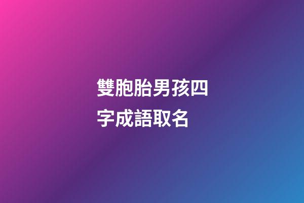 雙胞胎男孩四字成語取名(雙胞胎男孩四字成語起名字)-第1張-男孩起名-玄機派