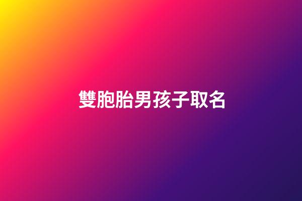 雙胞胎男孩子取名(雙胞胎男孩子取名2023)-第1張-男孩起名-玄機派
